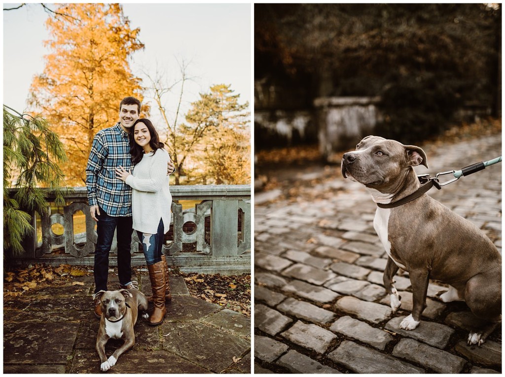 mellon park engagement photos with dog