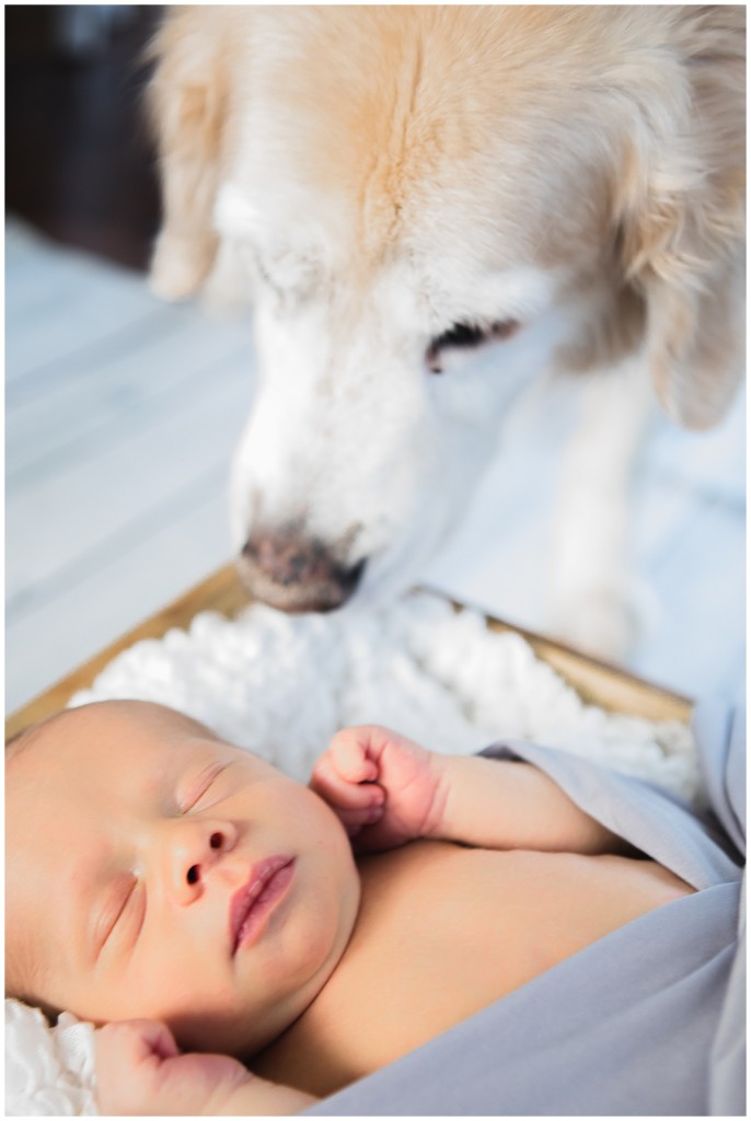 In Home Newborn Session_0021