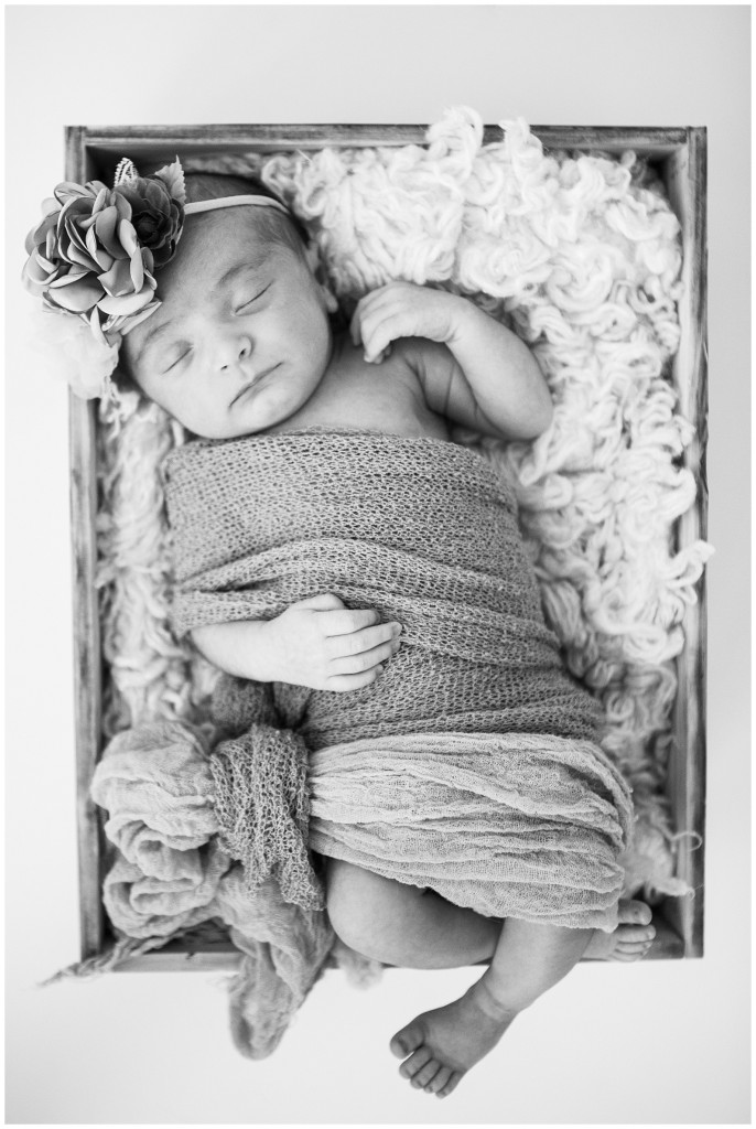 Pgh Newborn Photography Studio