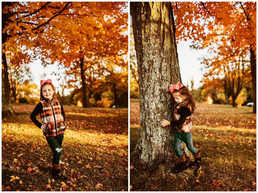 Boyce Park Fall Family Photos