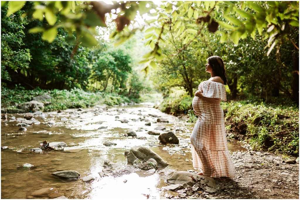 Studio & Park Maternity Photos_0018